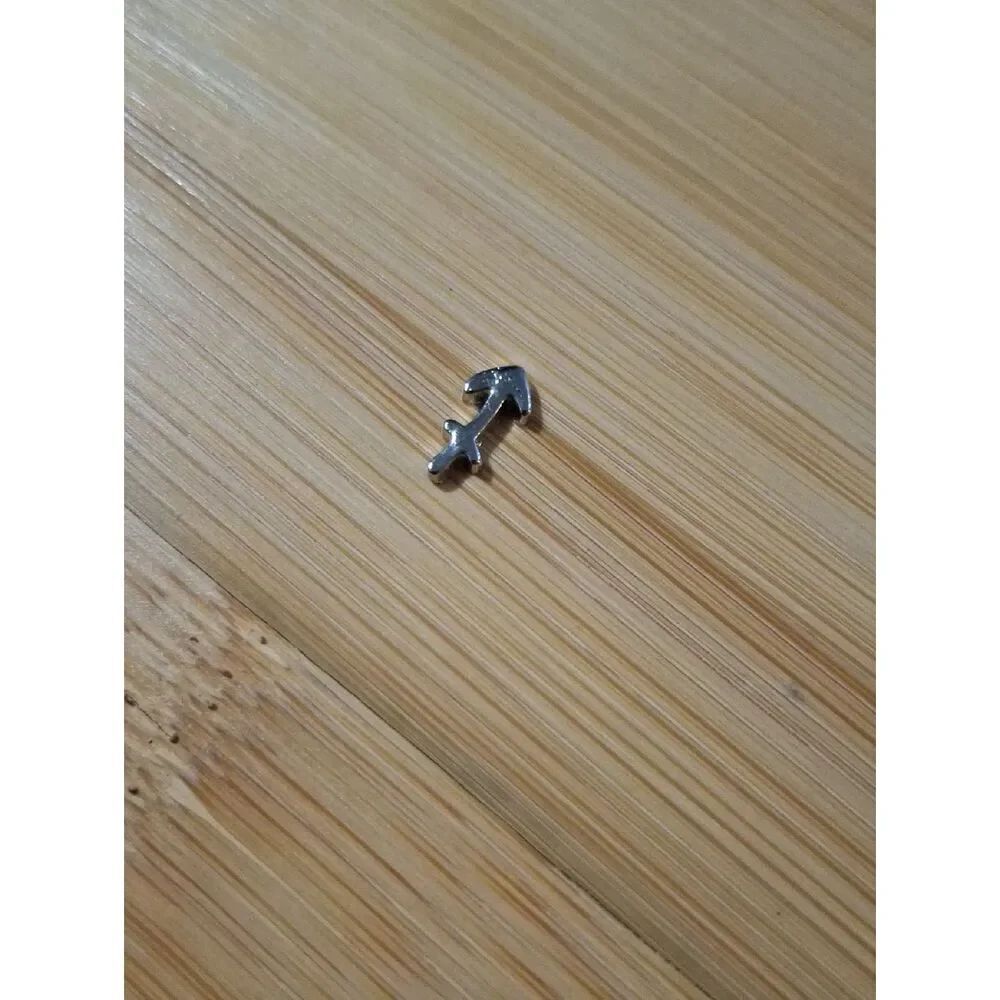 Sagittarius ♐️ Charm For Floating Lockets